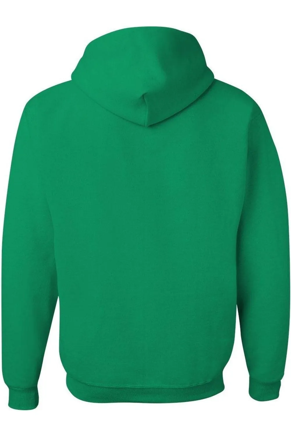 Big Bang Theory Sheldon Painting Adult Pull Over Hoodie / Hooded Sweatshirt