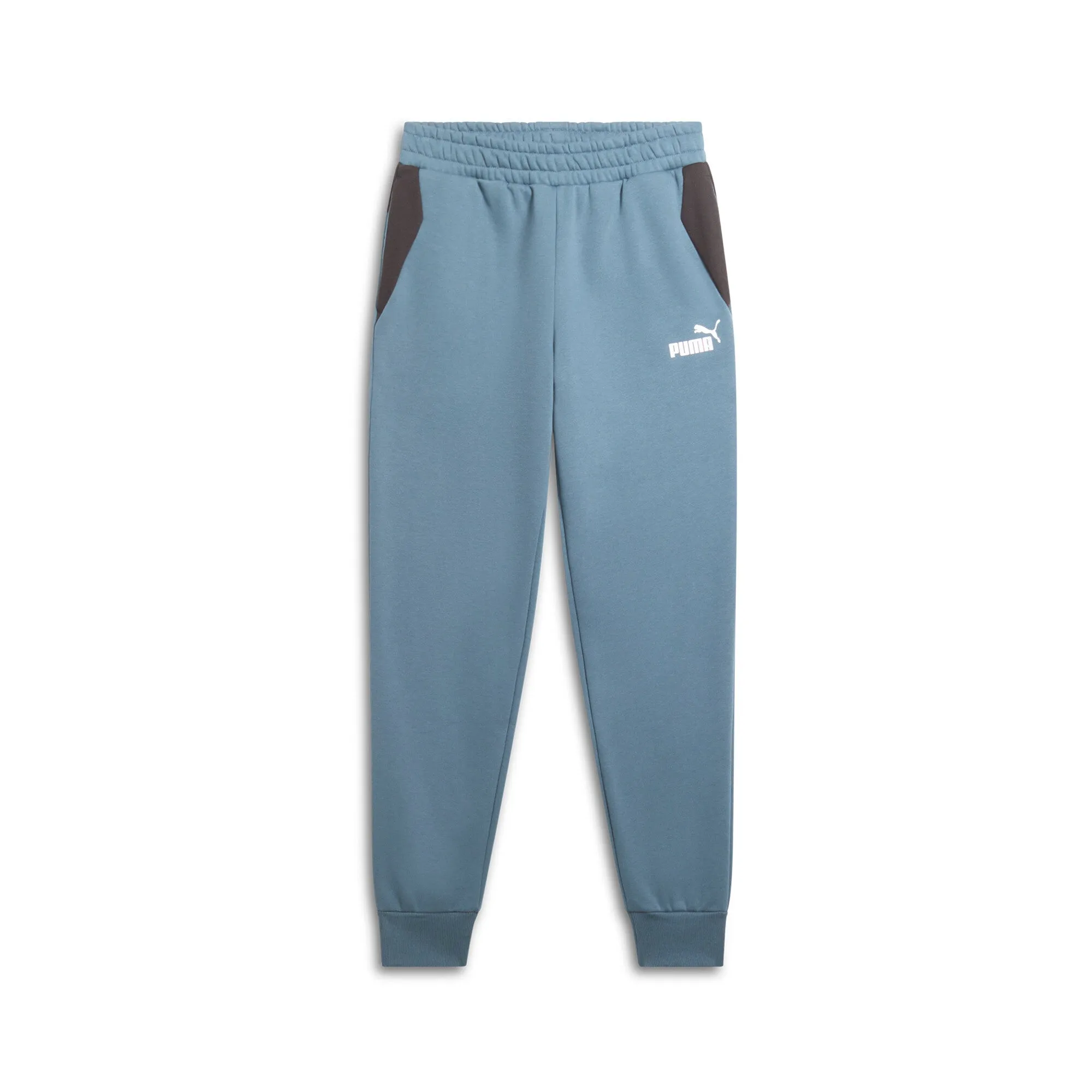 PUMA Men's Power Colorblock Pants